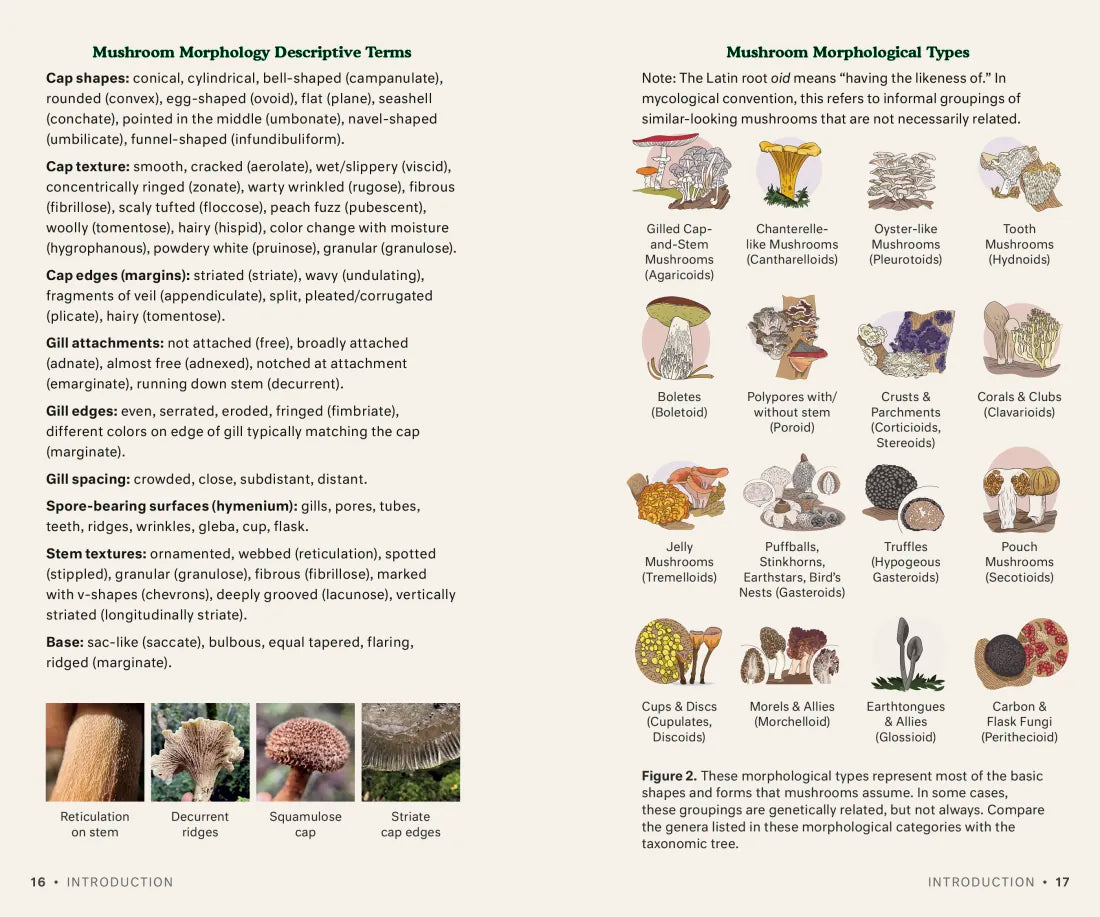Dr. Fun Guy's Mushroom Journal and Foraging Guide US - Book