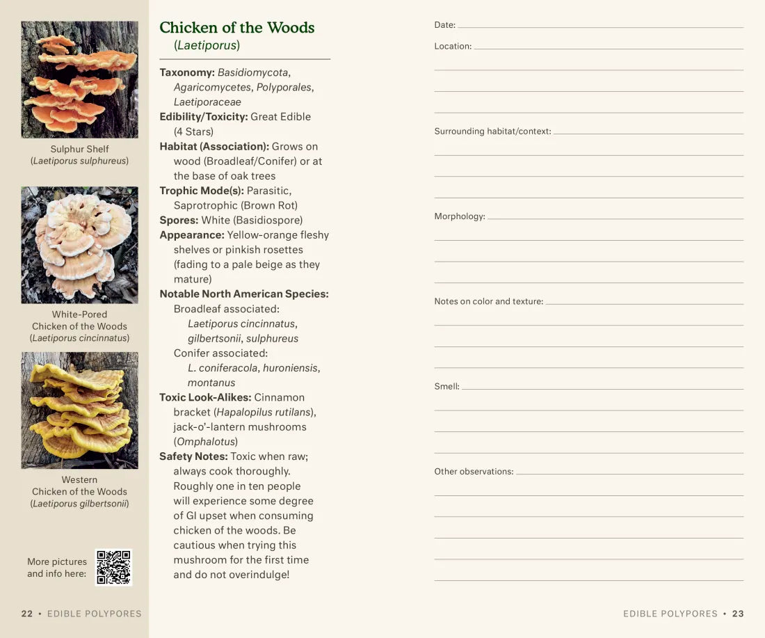 Dr. Fun Guy's Mushroom Journal and Foraging Guide US - Book