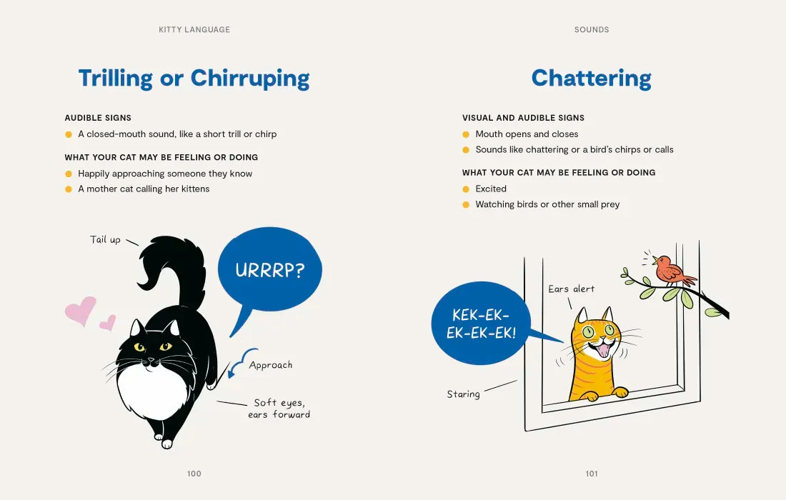 Kitty Language US - Hardback