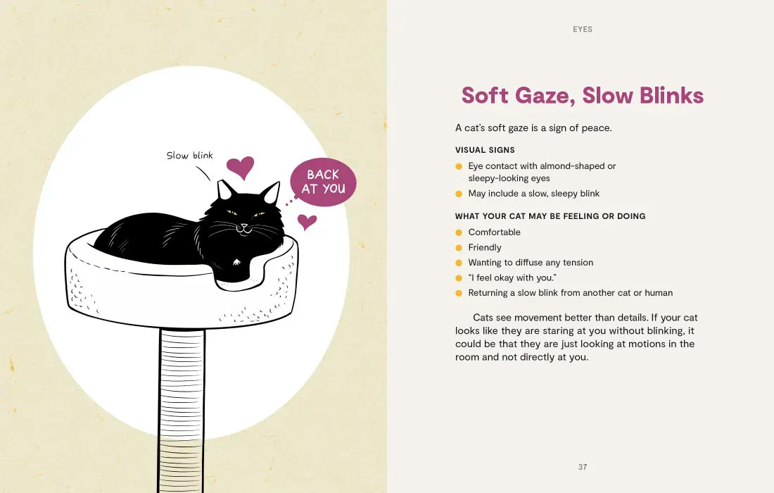 Kitty Language US - Hardback