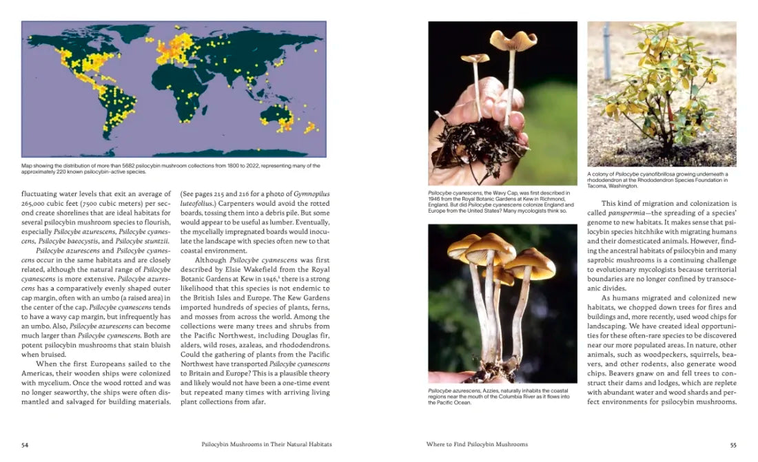 Psilocybin Mushrooms in Their Natural Habitats US - Paperback / softback