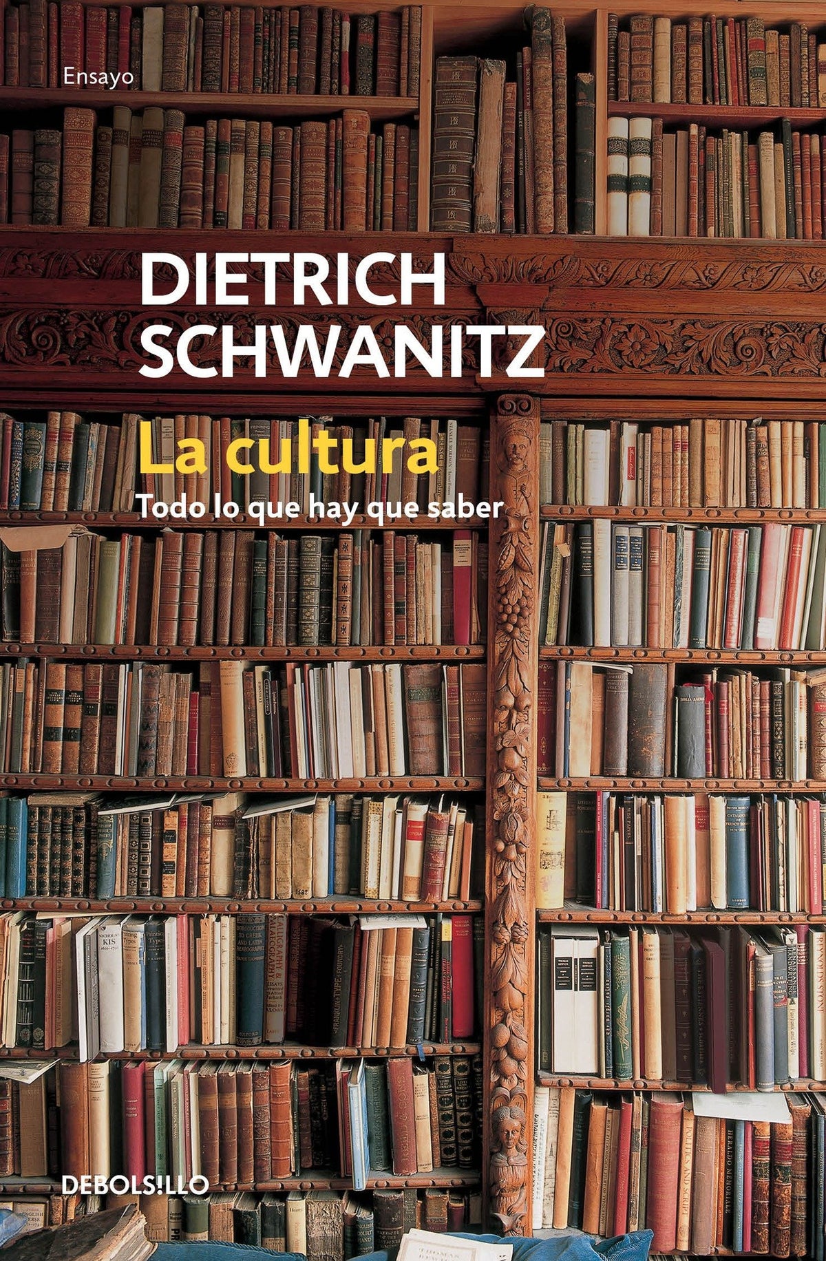 La cultura: todo lo que hay que saber / Culture.Everything You Need to Know cover (ISBN 9786073141598)