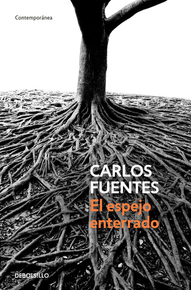 El espejo enterrado / The Buried Mirror cover (ISBN 9786073144704)