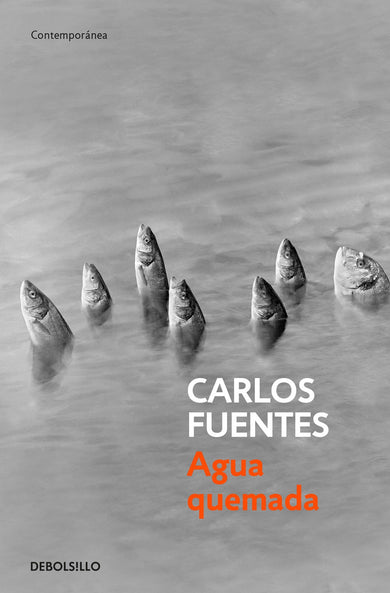 Agua quemada / Burn Water cover (ISBN 9786073144742)