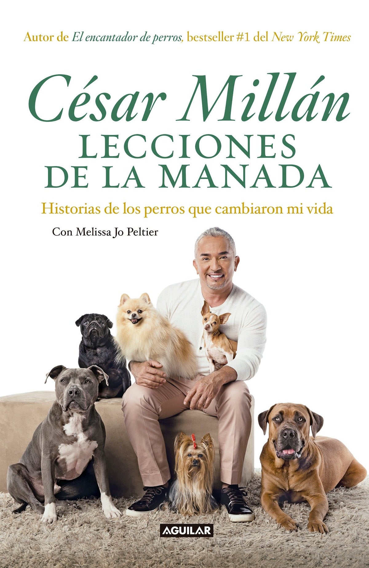 Lecciones de la manada / Cesar Millan's Lessons From the Pack cover (ISBN 9786073155205)