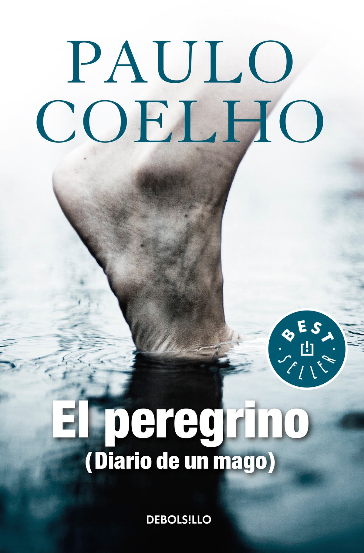El peregrino: Diario de un mago / The Pilgrimage: Diary of a Wizard cover (ISBN 9786073158503)