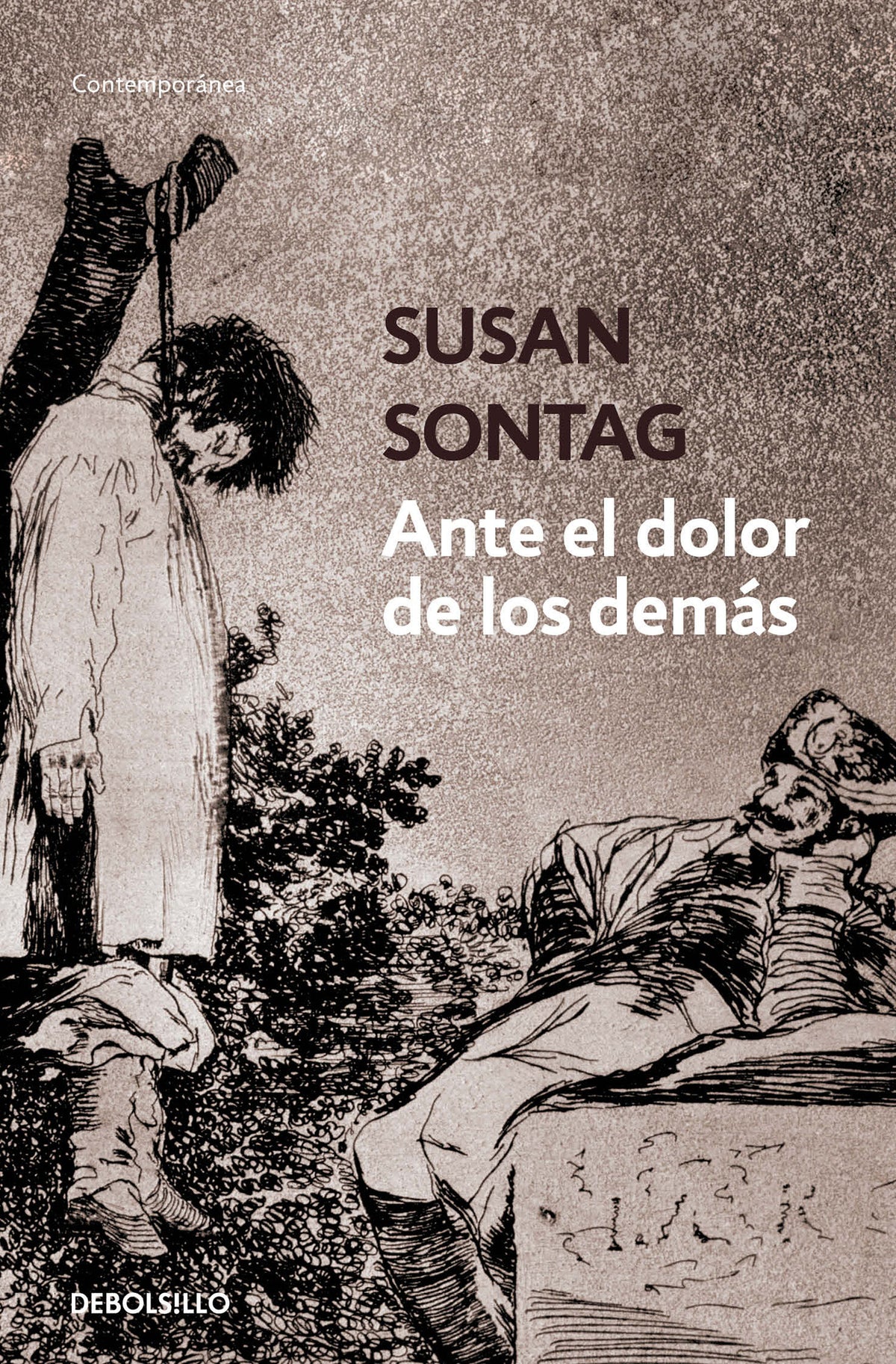 Ante el dolor de los demás / Regarding the Pain of Others cover (ISBN 9786073164559)