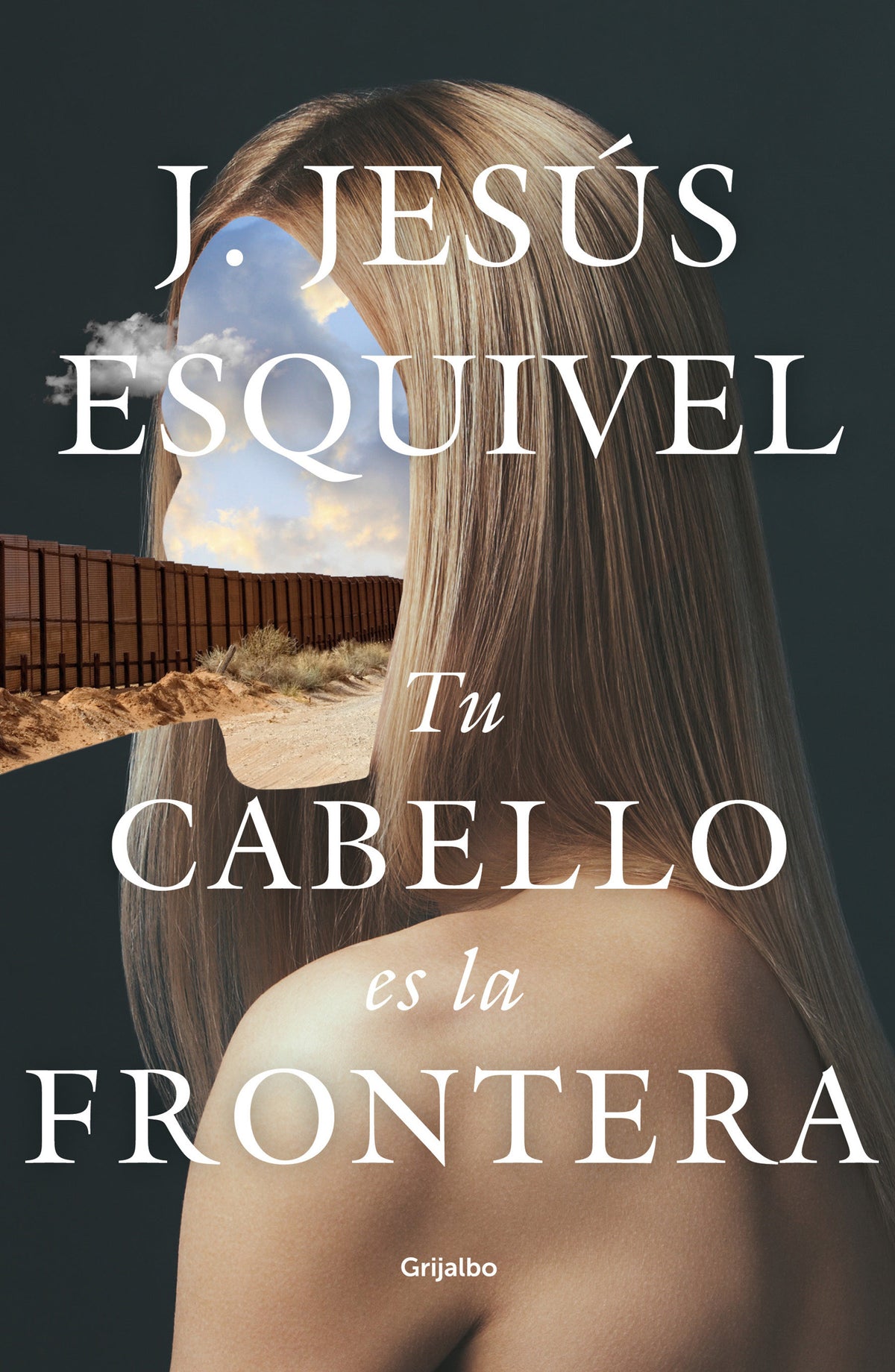 Tu cabello es la frontera / Your Hair Is The Border cover (ISBN 9786073185493)