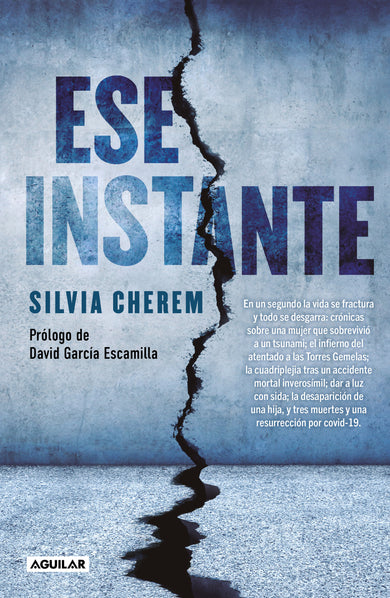 Ese Instante / That Instant cover (ISBN 9786073800419)
