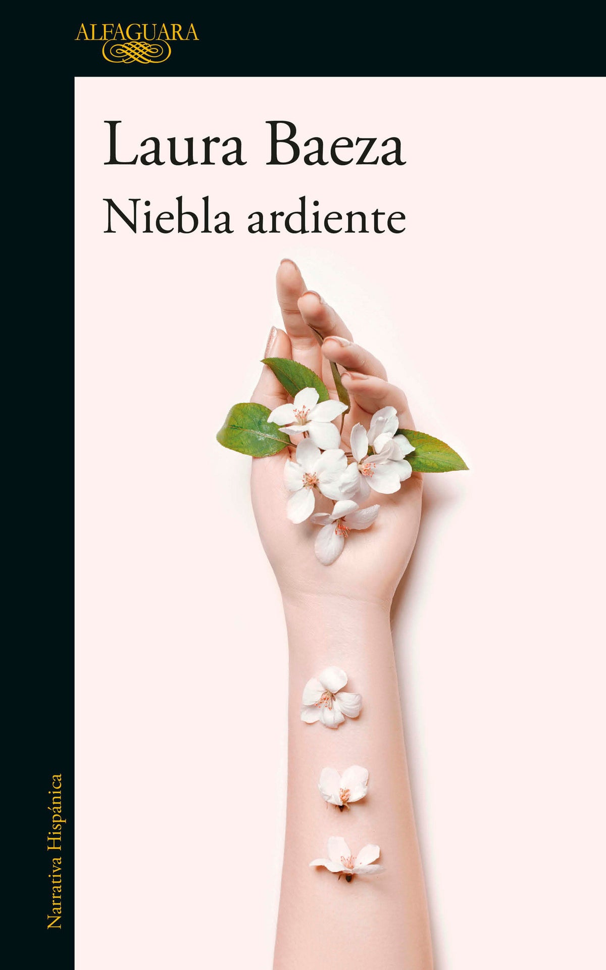 Niebla ardiente / A Burning Fog cover (ISBN 9786073804622)