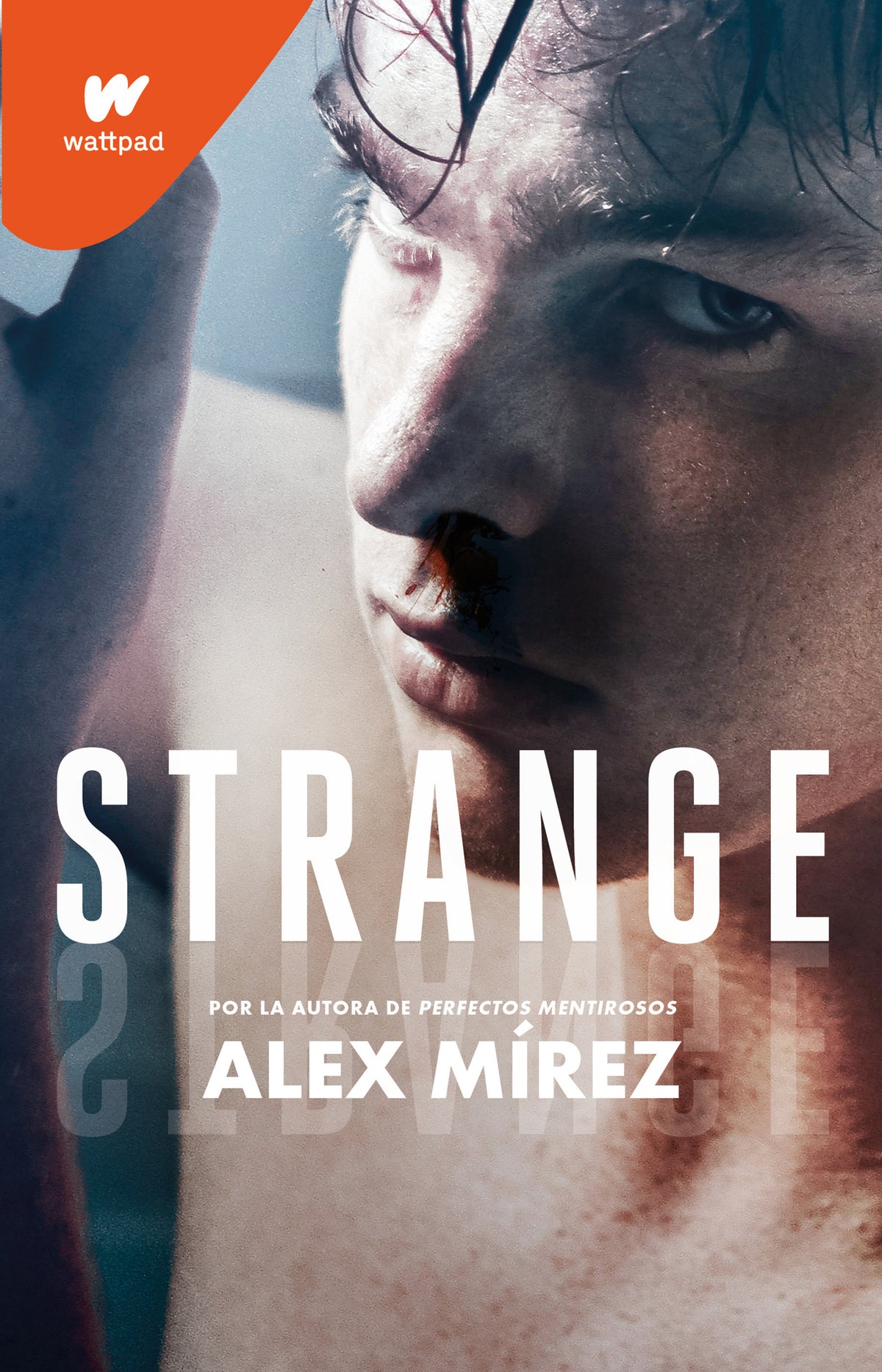 Strange (Spanish Edition) cover (ISBN 9786073812467)