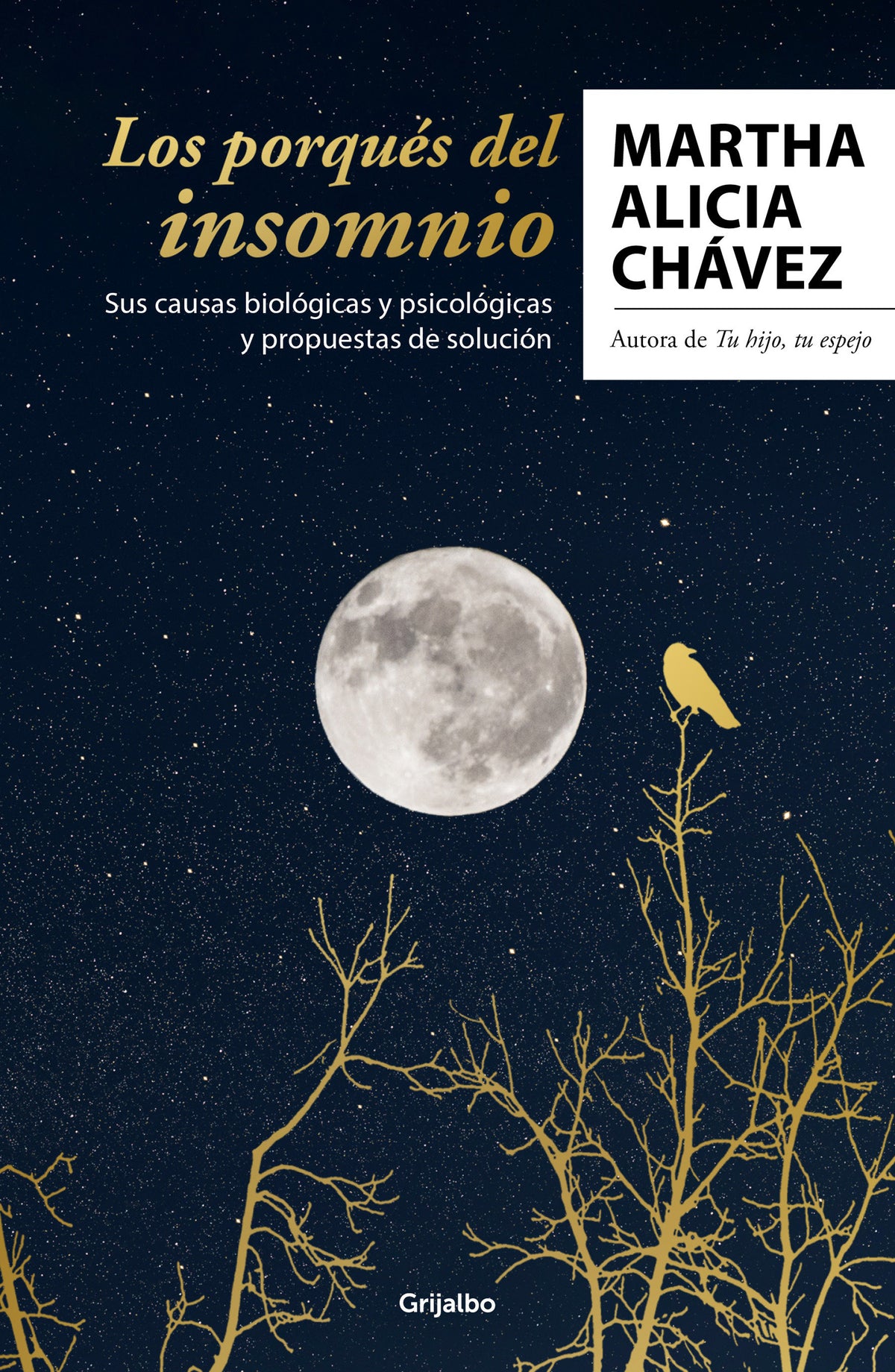 Los porqués del insomnio: Sus causas biológicas y psicológicas. Propuestas de solución / The Reasons Behind Insomnia cover (ISBN 9786073822282)