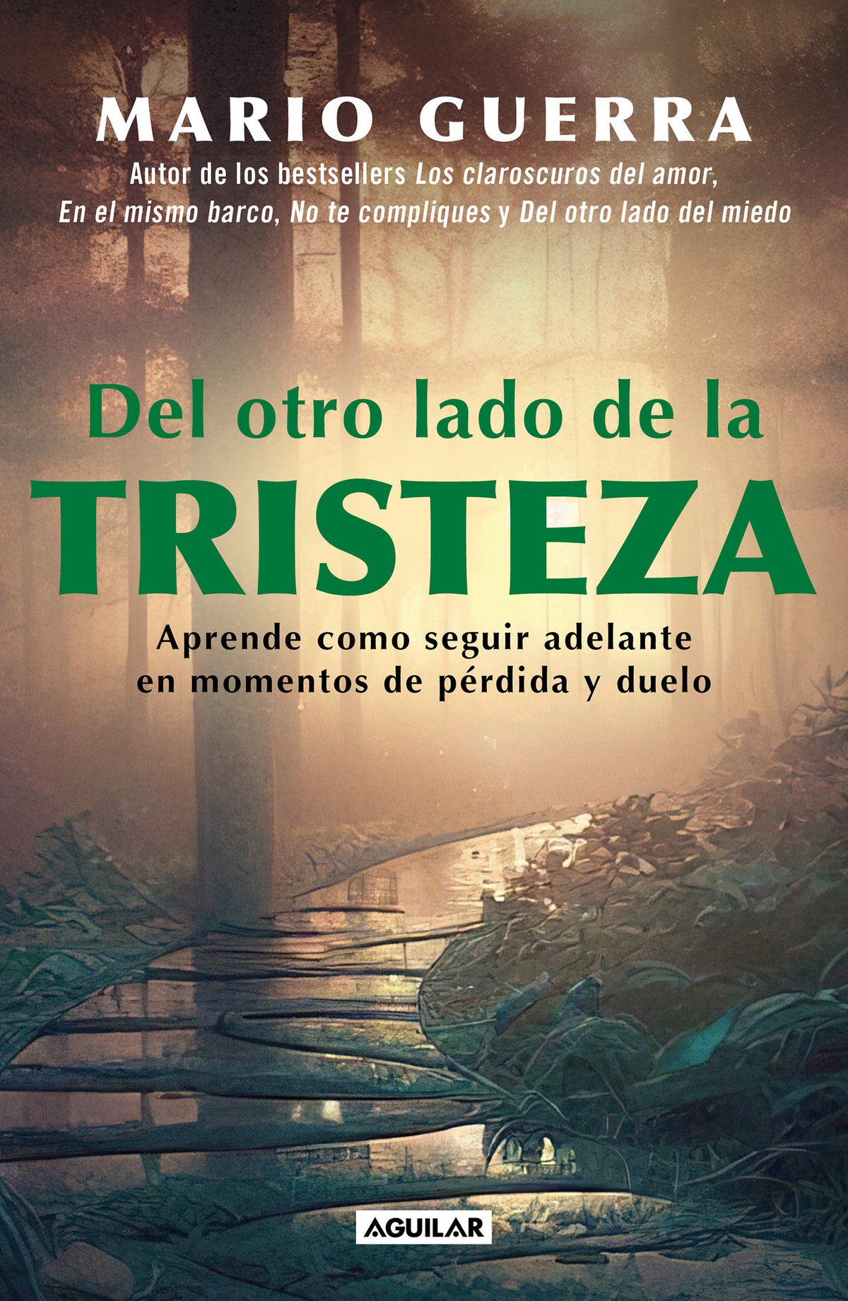 Del otro lado de la tristeza. Aprende como seguir adelante en momentos de pérdid a y duelo / On the Other Side of Sadness. Learn How to Move on in Times of Los cover (ISBN 9786073824163)