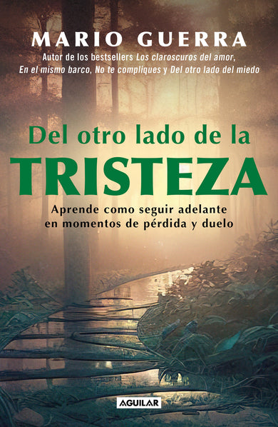 Del otro lado de la tristeza. Aprende como seguir adelante en momentos de pérdid a y duelo / On the Other Side of Sadness. Learn How to Move on in Times of Los cover (ISBN 9786073824163)