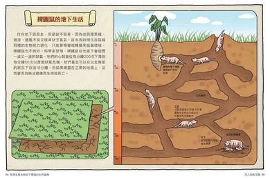達克比辦案 14:莽原生死鬥:草原生態系與地下環境的生存適應-非故事: 常識通識 General Knowledge-買書書 BuyBookBook