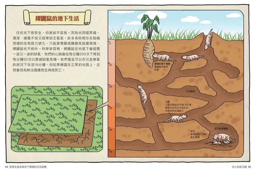 達克比辦案 14:莽原生死鬥:草原生態系與地下環境的生存適應-非故事: 常識通識 General Knowledge-買書書 BuyBookBook