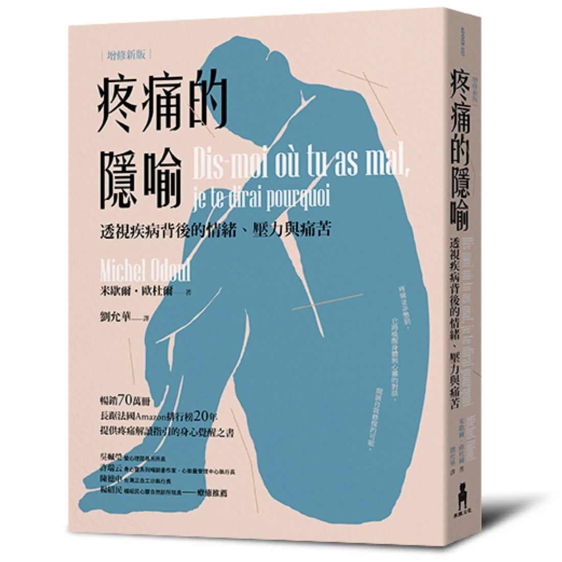 疼痛的隱喻:透視疾病背後的情緒、壓力與痛苦(2022年增修新版) 平裝書 Paperback