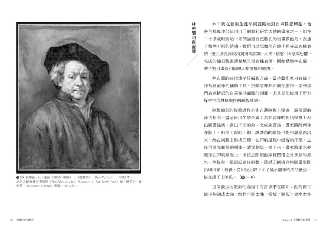 大師如何觀看:解構我們感知、創造、學習的方式 平裝書 Paperback