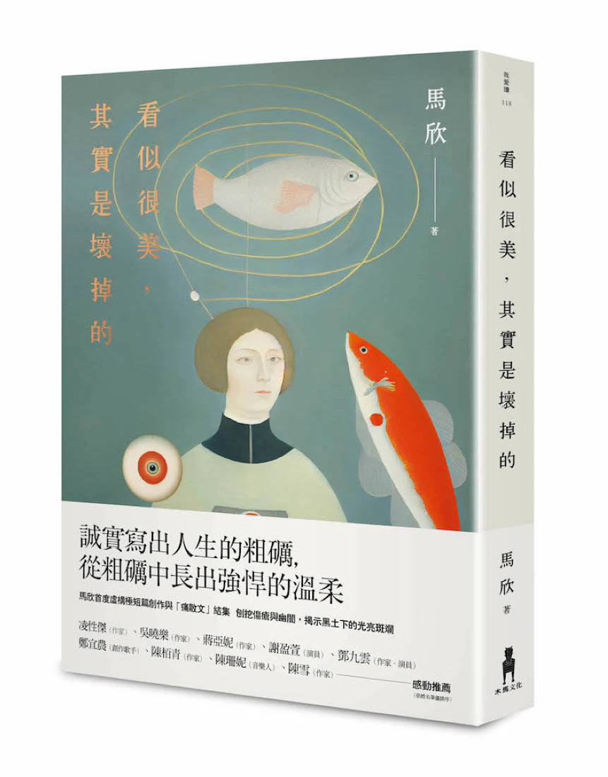 看似很美,其實是壞掉的 平裝書 Paperback