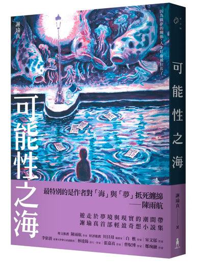可能性之海 平裝書 Paperback