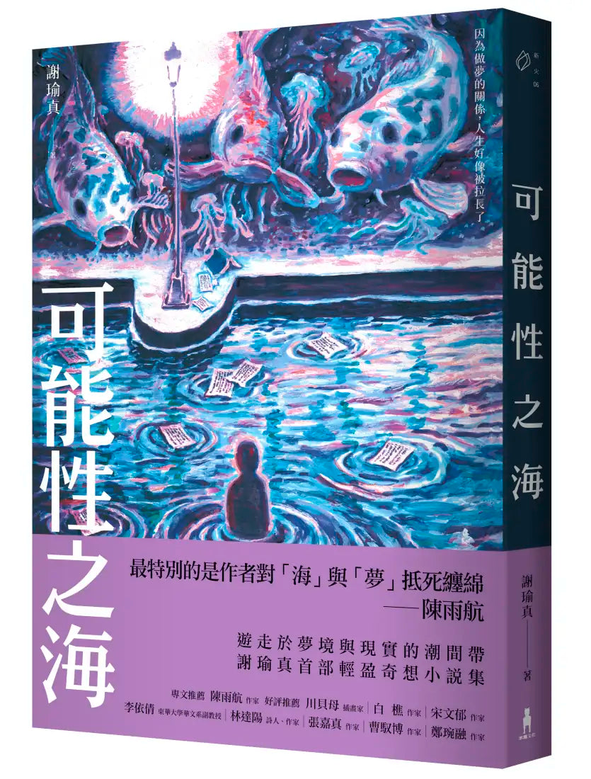 可能性之海 平裝書 Paperback
