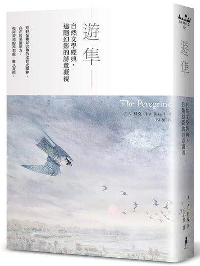 遊隼:自然文學經典,追隨幻影的詩意凝視 平裝書 Paperback
