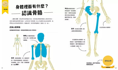 我10歲,學醫學【小學生未來志願系列】★附贈:貼紙、桌遊海報、遊戲紙模-非故事: 生涯規劃 Life Planning-買書書 BuyBookBook