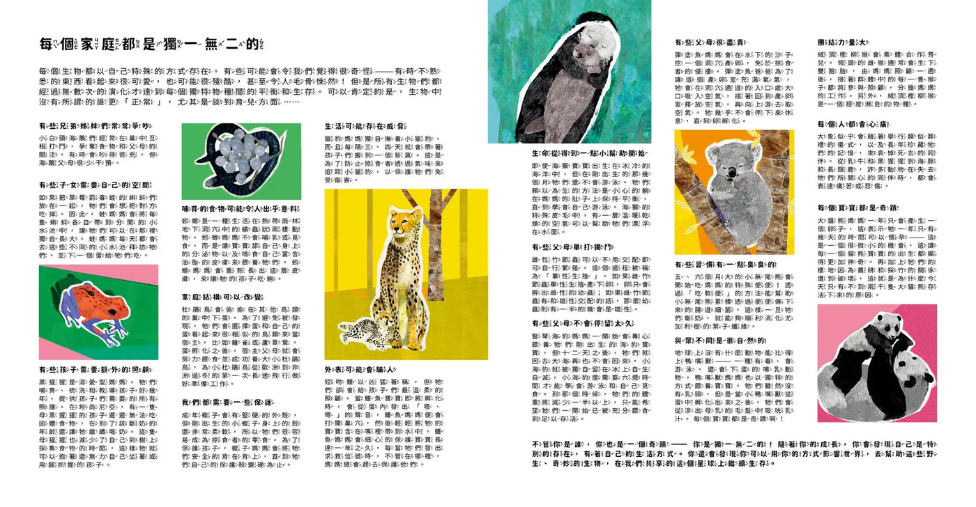 Inside Page 4