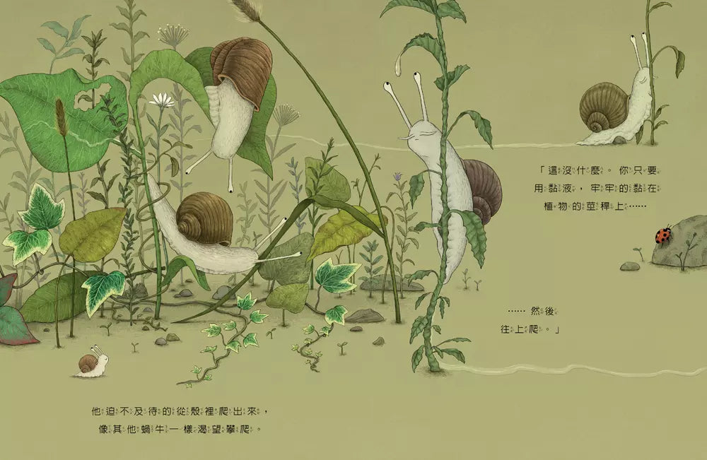 小蝸牛亨利 (卡塔琳娜.瑪庫洛娃)-故事: 兒童繪本 Picture Books-買書書 BuyBookBook