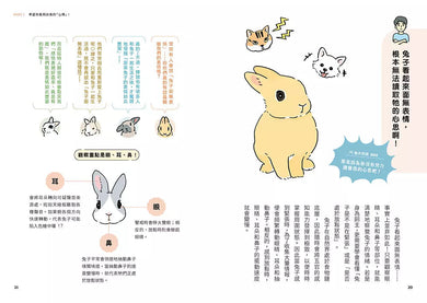 兔子的真心話:從情緒判讀、舉止反應、飼養照護到習慣養成,收錄兔子想對你說的 126 則養兔必備專門情報,與愛兔幸福共度每一天-非故事: 動物植物 Animal & Plant-買書書 BuyBookBook
