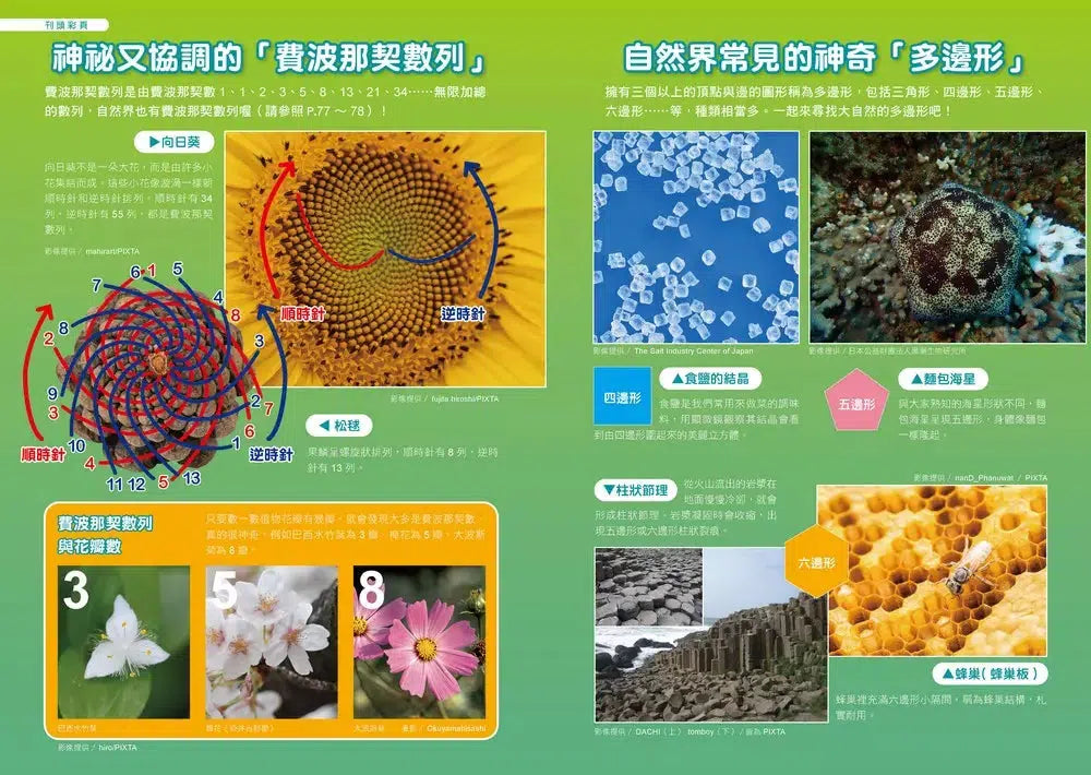 哆啦A夢知識大探索#12 超強數學幸運槍 (藤子·F·不二雄)-非故事: 科學科技 Science & Technology-買書書 BuyBookBook