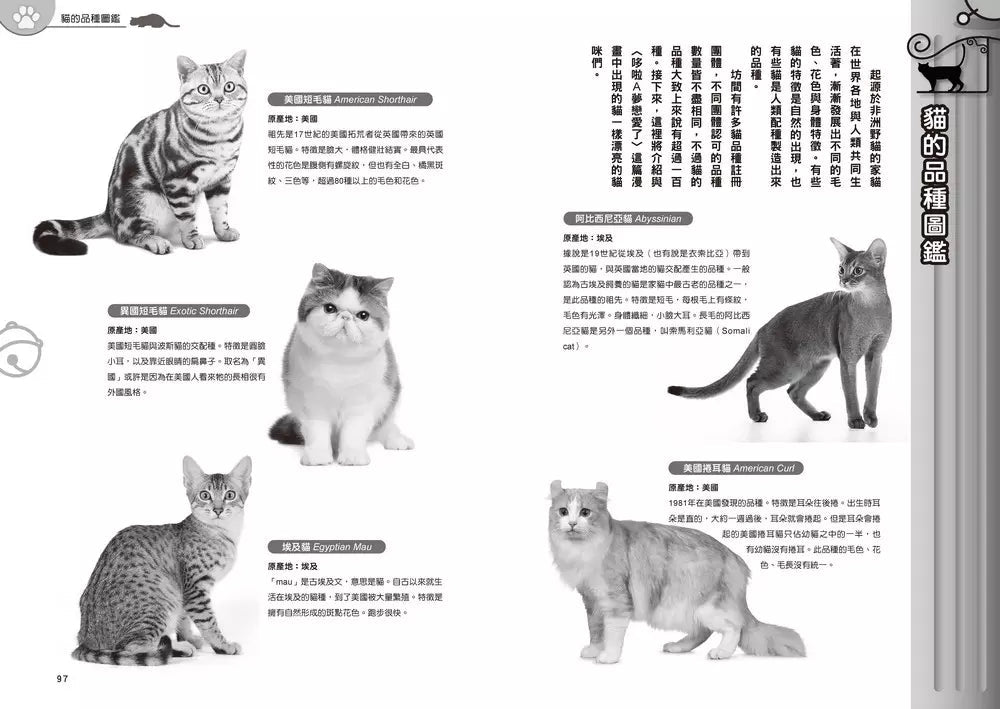 哆啦A夢知識大探索#01 百變貓咪召喚機 (藤子·F·不二雄)-非故事: 常識通識 General Knowledge-買書書 BuyBookBook