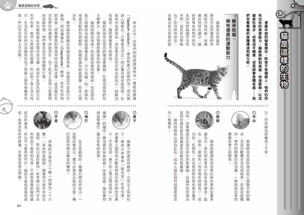 哆啦A夢知識大探索#01 百變貓咪召喚機 (藤子·F·不二雄)-非故事: 常識通識 General Knowledge-買書書 BuyBookBook