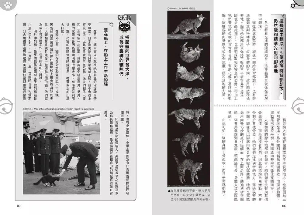 哆啦A夢知識大探索#01 百變貓咪召喚機 (藤子·F·不二雄)-非故事: 常識通識 General Knowledge-買書書 BuyBookBook