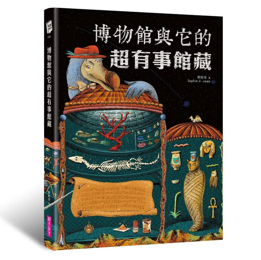 Book Cover 9786264065528