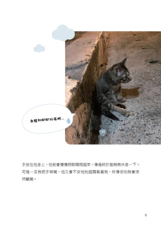 Inside Page 4