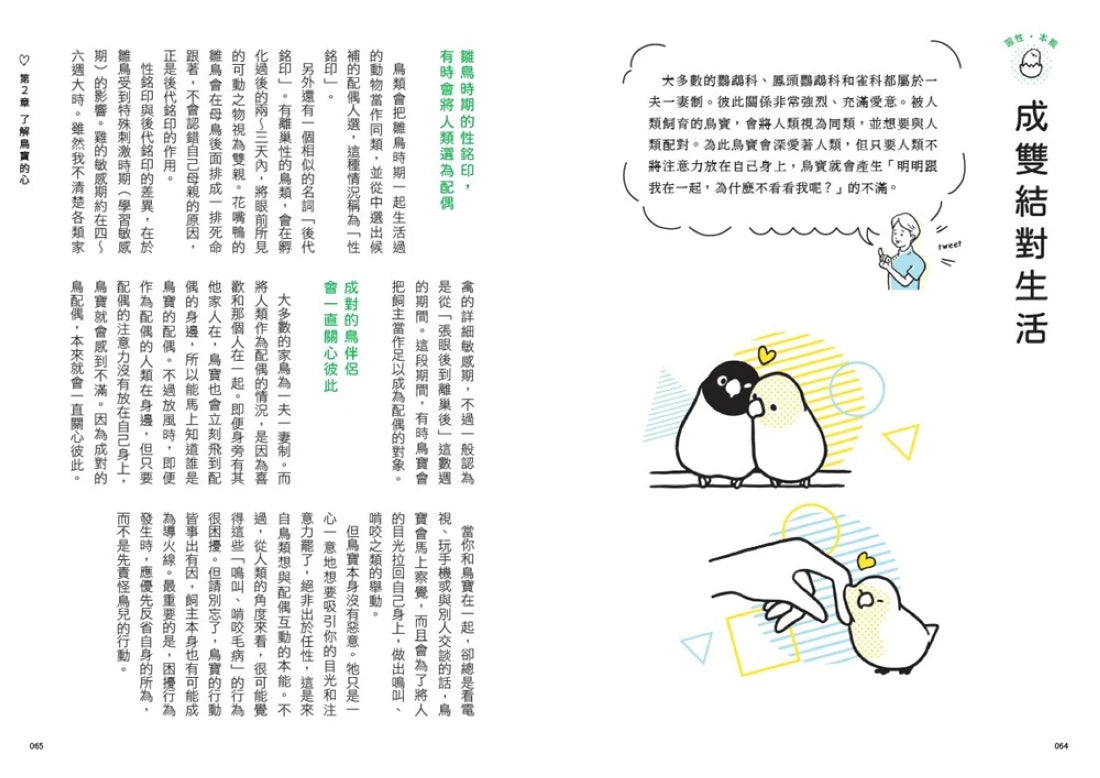 鳥醫生的養鳥小百科: 25種常見家鳥,從鸚鵡、文鳥到雀科,與啾星人交心的飼養訣竅 平裝書 Paperback