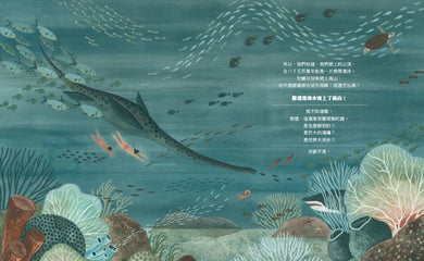 咦,山頂有牡蠣化石 精裝書 Hardback