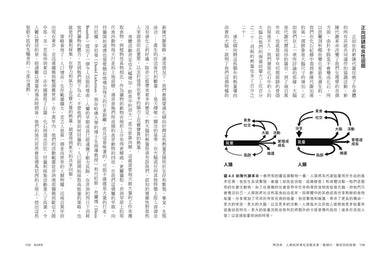 燃:最新研究,揭開身體究竟如何燃燒卡路里、減肥、保持健康! 平裝書 Paperback