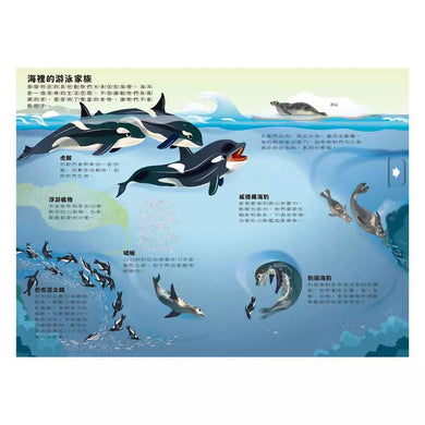 小小知識家動手大發現:冰雪動物AMAZING! (翻翻書)-非故事: 常識通識 General Knowledge-買書書 BuyBookBook