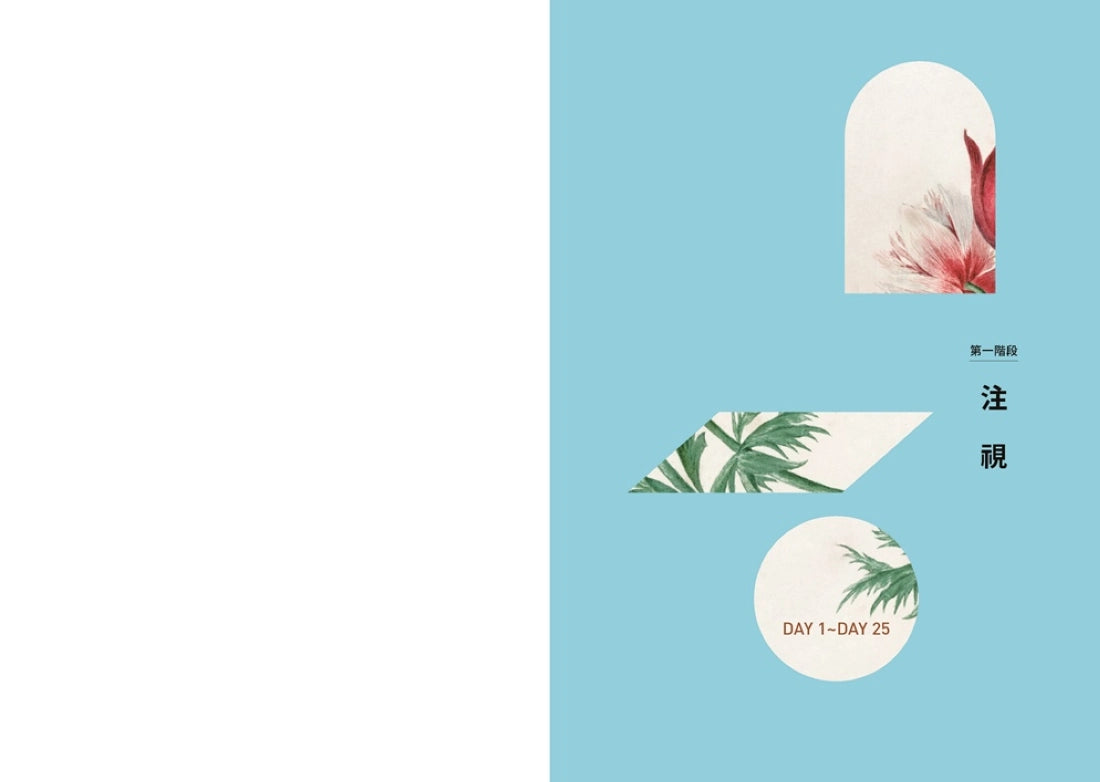 創造人生奇蹟的100日冥想書寫: 當心一靜,好運也跟著來了 平裝書 Paperback