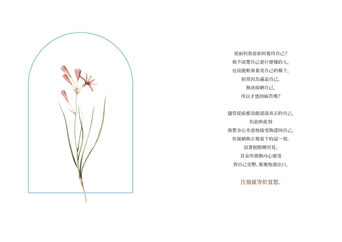 創造人生奇蹟的100日冥想書寫: 當心一靜,好運也跟著來了 平裝書 Paperback