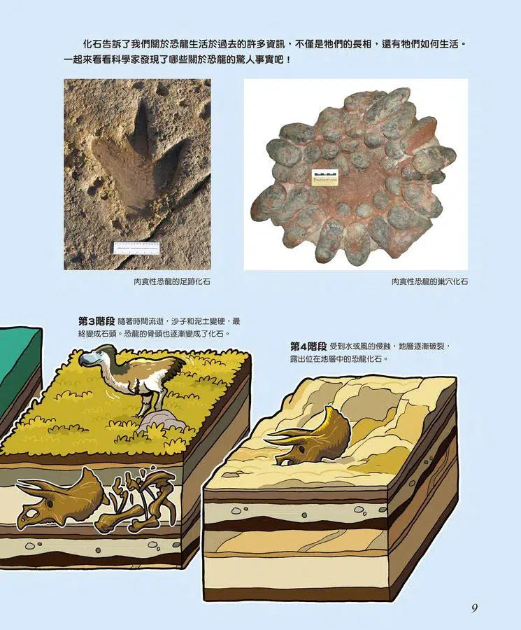 驚奇的恐龍世界 #03 噓!恐龍的祕密 (朴晉永)-非故事: 參考百科 Reference & Encyclopedia-買書書 BuyBookBook