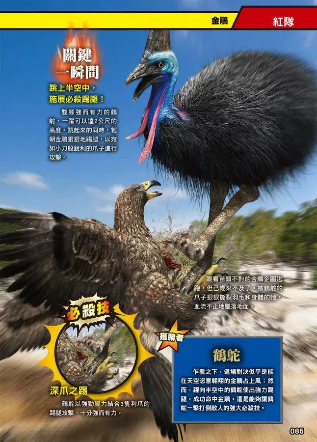 最強戰鬥 #01 超危險生物大戰圖鑑 (今泉忠明)-非故事: 動物植物 Animal & Plant-買書書 BuyBookBook