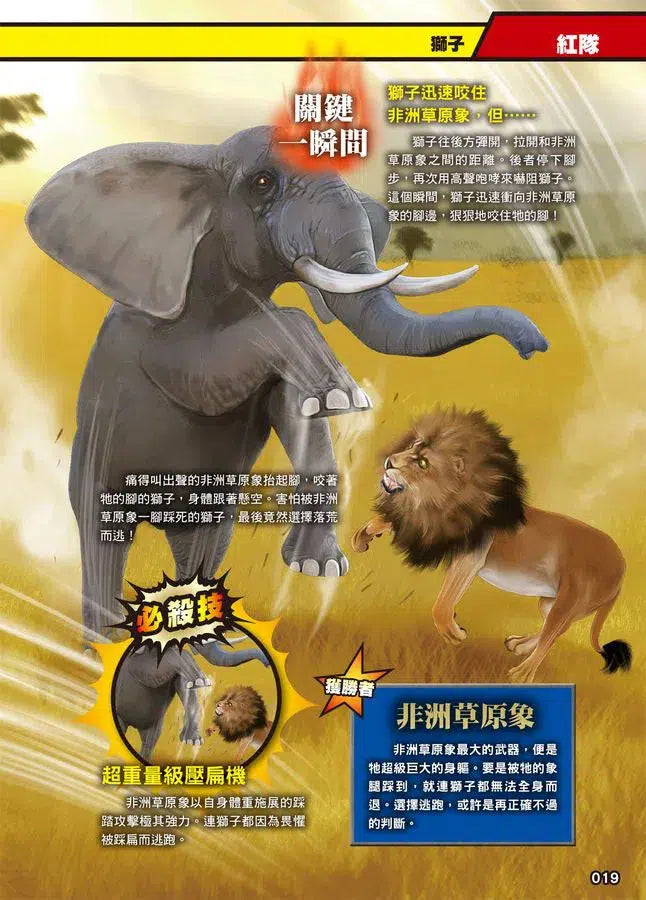 最強戰鬥 #01 超危險生物大戰圖鑑 (今泉忠明)-非故事: 動物植物 Animal & Plant-買書書 BuyBookBook
