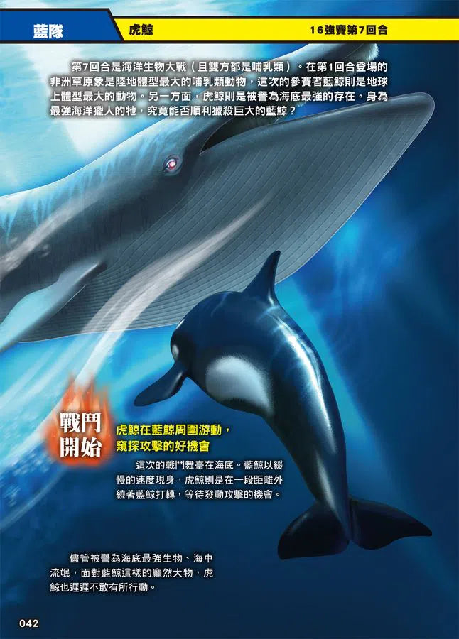 最強戰鬥 #01 超危險生物大戰圖鑑 (今泉忠明)-非故事: 動物植物 Animal & Plant-買書書 BuyBookBook