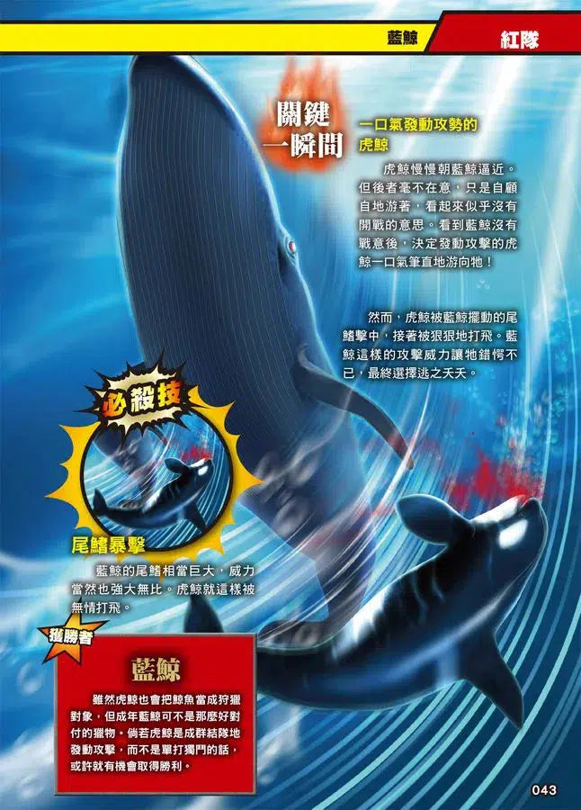 最強戰鬥 #01 超危險生物大戰圖鑑 (今泉忠明)-非故事: 動物植物 Animal & Plant-買書書 BuyBookBook