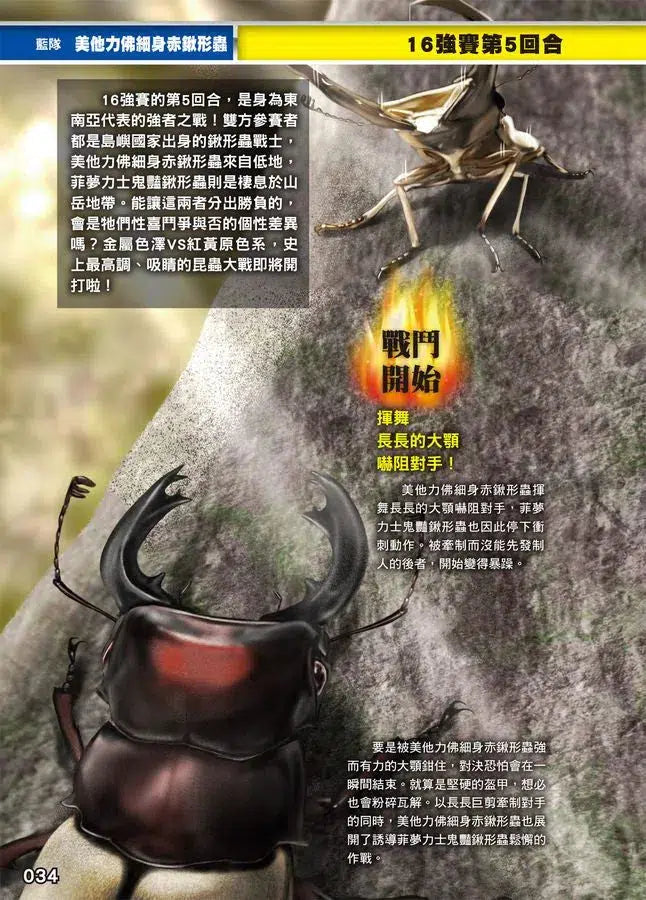 最強戰鬥 #02 鍬形蟲大王X獨角仙大王 超級大戰圖鑑 (小野展嗣)-非故事: 動物植物 Animal & Plant-買書書 BuyBookBook