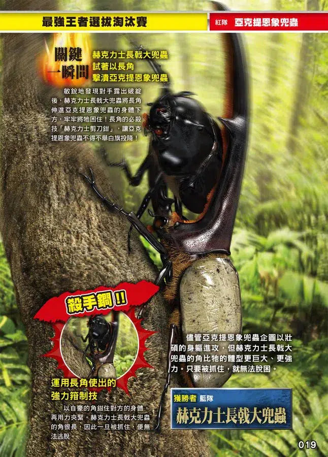 最強戰鬥 #02 鍬形蟲大王X獨角仙大王 超級大戰圖鑑 (小野展嗣)-非故事: 動物植物 Animal & Plant-買書書 BuyBookBook