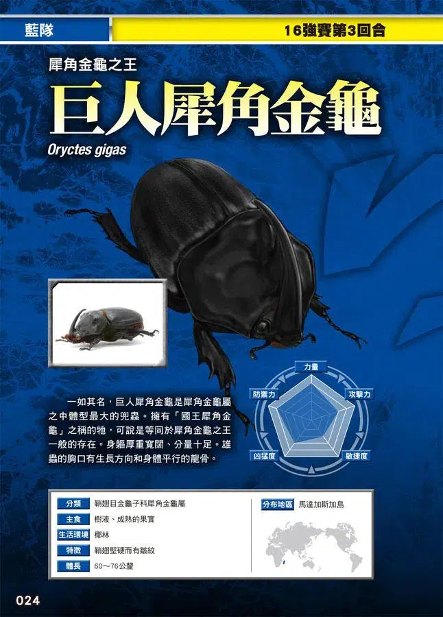 最強戰鬥 #02 鍬形蟲大王X獨角仙大王 超級大戰圖鑑 (小野展嗣)-非故事: 動物植物 Animal & Plant-買書書 BuyBookBook